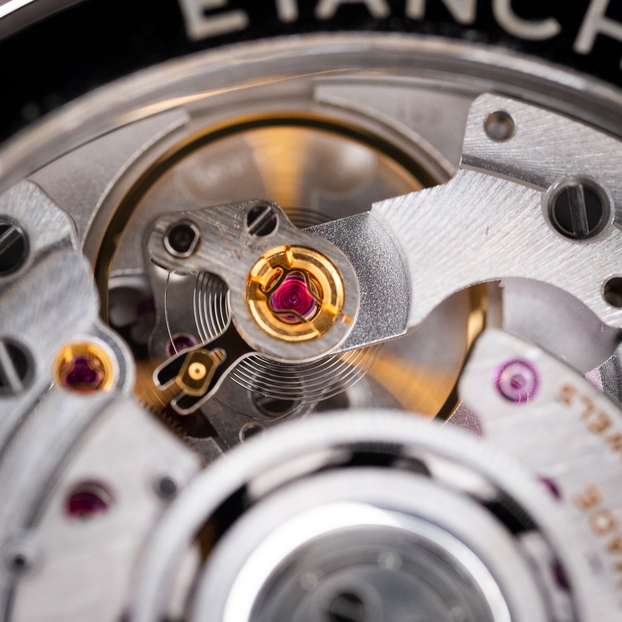 WhatsApp Image 2025-09-02 at 23.00.45 (4)