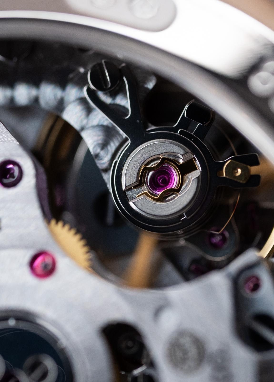 WhatsApp Image 2025-09-09 at 15.05.24 (4)